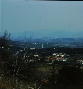 Photo 082